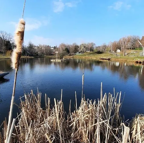 Отель Restaurant Domaine De Sangayrac Saint-Amans-des-Cots